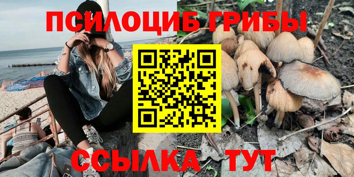Галлюциногенные грибы мицелий Комсомольск-на-Амуре