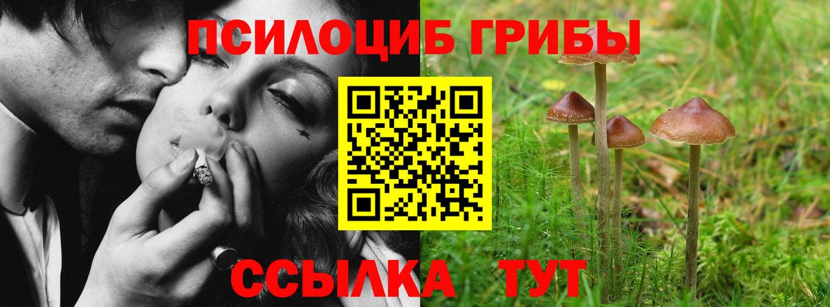 Псилоцибиновые грибы Psilocybine cubensis  где найти наркотики  Комсомольск-на-Амуре  Вход с VPN 